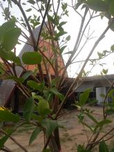 ณ จันท์รีสอร์ท ห้องทับทิมจันท์