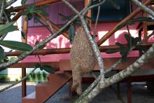 ณ จันท์รีสอร์ท บ้านไข่มุก